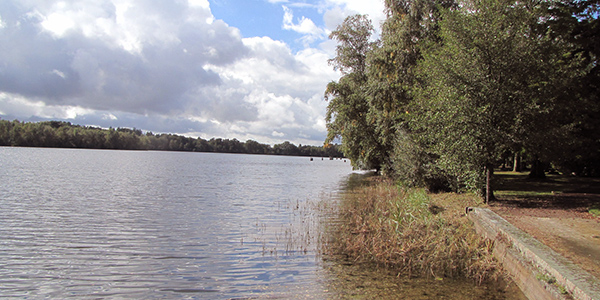 Etang du Domaine de Chalès