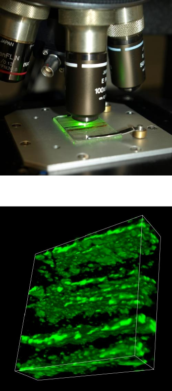 Photos d'un dispositif Raman et image en 3 dimensions de la matière carbonée dans une roche de 3,5 Ga obtenue par spectroscopie Raman.