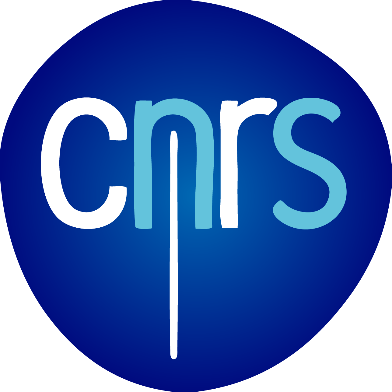 Logo CNRS